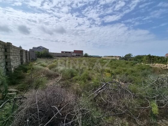 Torpaq Nardaran q., Bakı