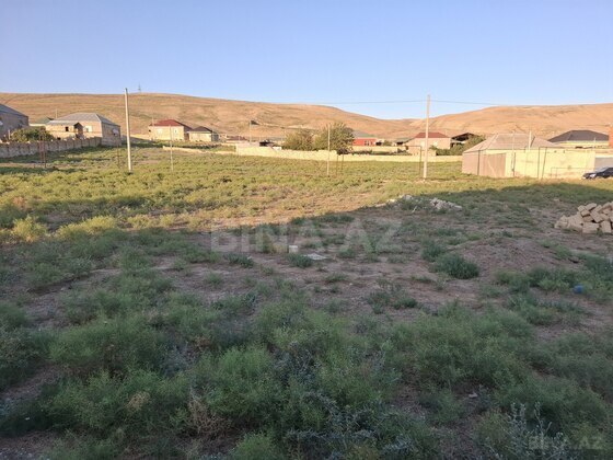 Torpaq Qobu q., Bakı