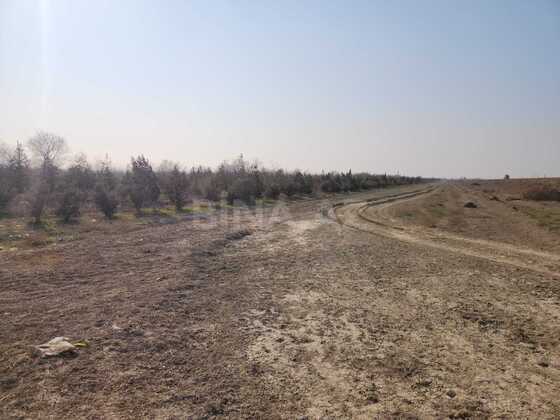 Torpaq Ələt q., Bakı