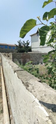 Torpaq Masazır q., Bakı