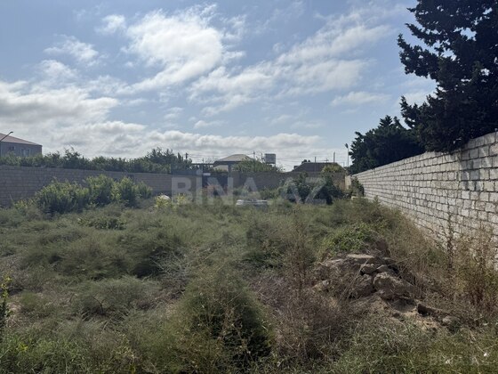 Torpaq Bilgəh q., Bakı