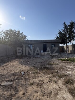 Torpaq Şüvəlan q., Bakı
