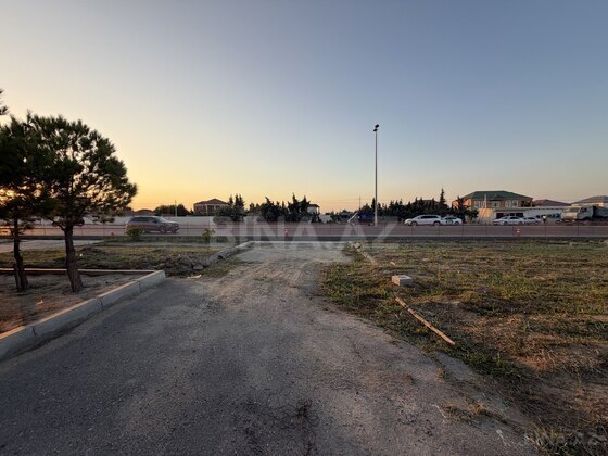 Torpaq Nardaran q., Bakı