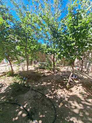 4 otaqlı Həyət evi/Bağ evi, Buzovna q., Bakı