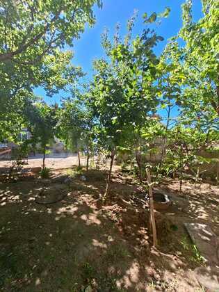 4 otaqlı Həyət evi/Bağ evi, Buzovna q., Bakı