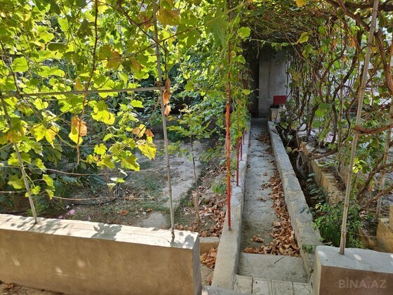 Torpaq Abşeron r., Bakı