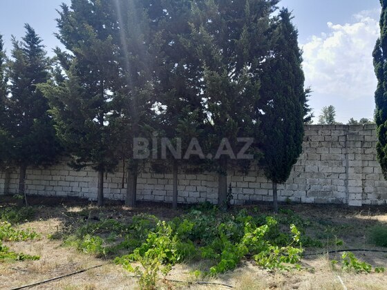 Torpaq Görədil q., Bakı