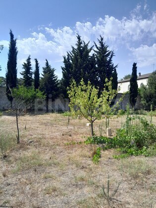 Torpaq Görədil q., Bakı