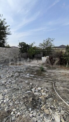 Torpaq Novxanı q., Bakı