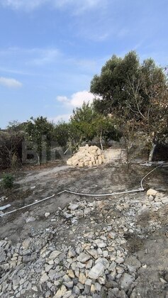 Torpaq Novxanı q., Bakı
