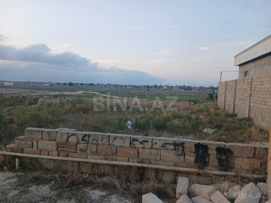 Torpaq Buzovna q., Bakı