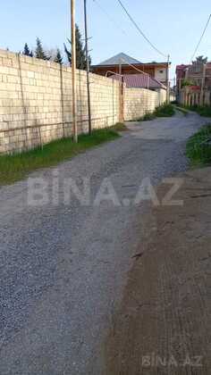 Torpaq Novxanı q., Bakı