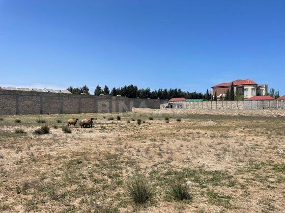 Torpaq Mərdəkan q., Bakı