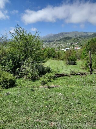 Torpaq Şamaxı