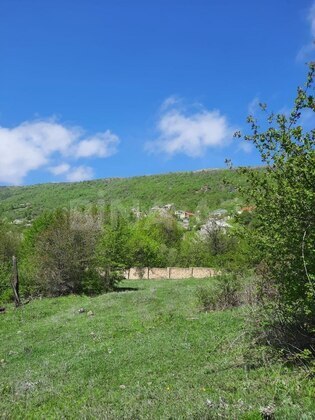 Torpaq Şamaxı