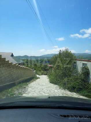 Torpaq Şamaxı
