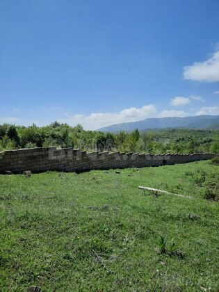 Torpaq Şamaxı