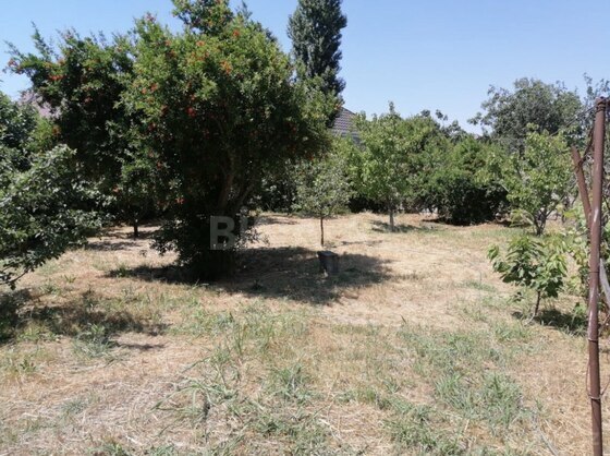 Torpaq Maştağa q., Bakı