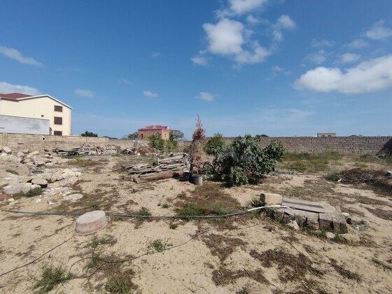 Torpaq Pirşağı q., Bakı
