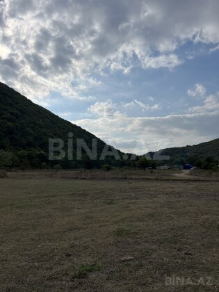 Torpaq Şamaxı