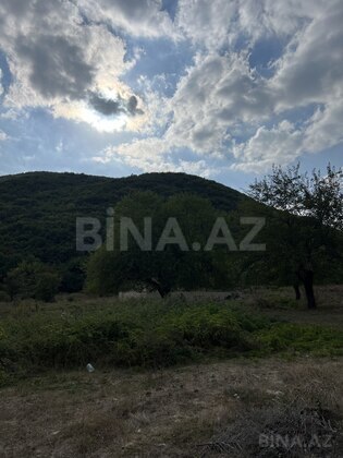 Torpaq Şamaxı