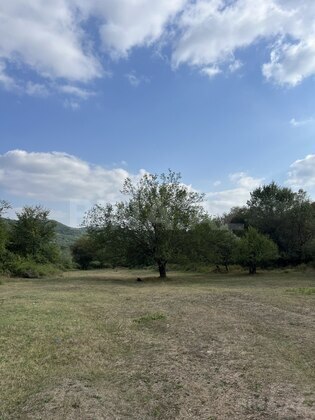 Torpaq Şamaxı
