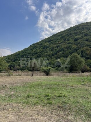 Torpaq Şamaxı