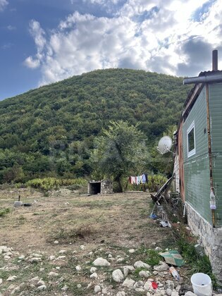 Torpaq Şamaxı