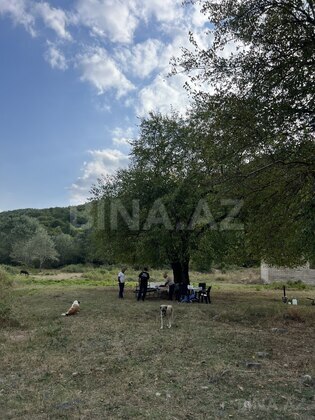 Torpaq Şamaxı