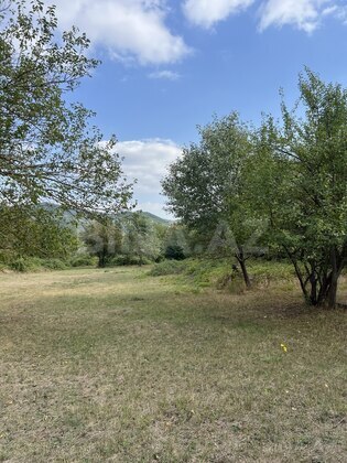 Torpaq Şamaxı