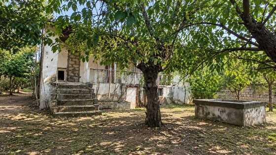 Torpaq Bilgəh q., Bakı