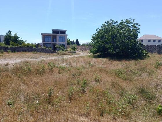 Torpaq Nardaran q., Bakı