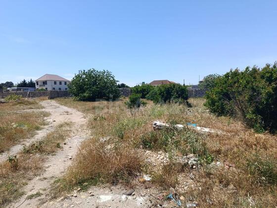 Torpaq Nardaran q., Bakı