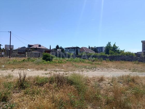 Torpaq Nardaran q., Bakı