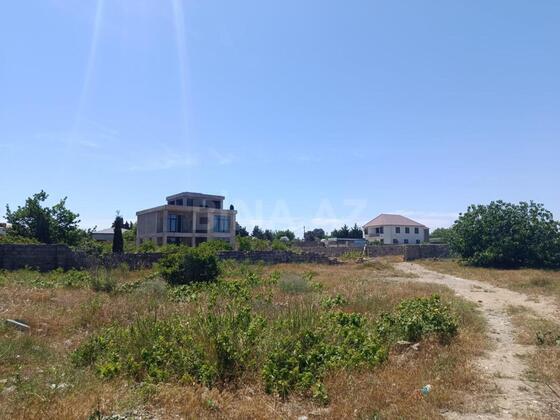 Torpaq Nardaran q., Bakı