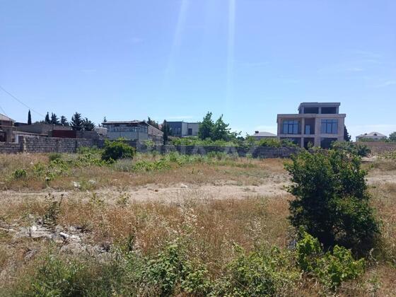 Torpaq Nardaran q., Bakı