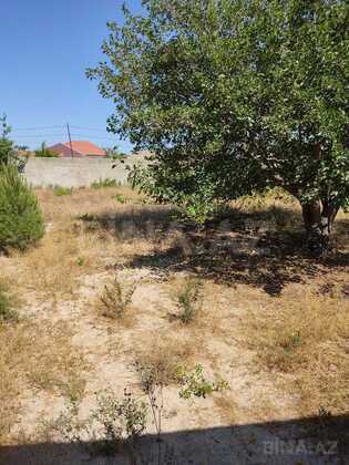 Torpaq Pirşağı q., Bakı
