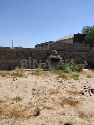 Torpaq Pirşağı q., Bakı