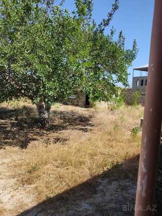 Torpaq Pirşağı q., Bakı