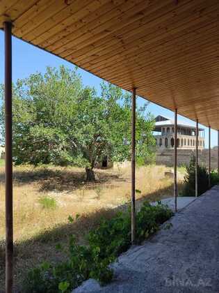 Torpaq Pirşağı q., Bakı