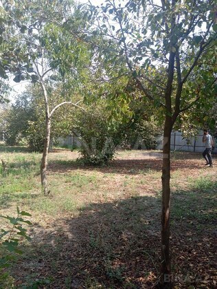 3 otaqlı Həyət evi/Bağ evi, Oğuz