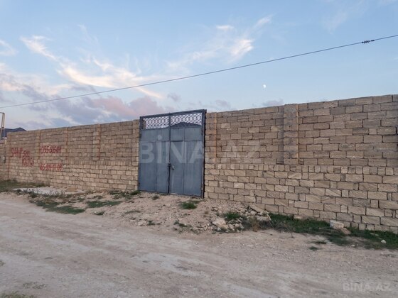 Torpaq Buzovna q., Bakı