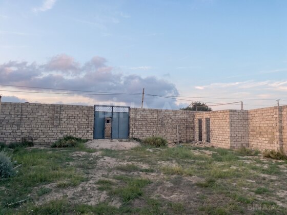 Torpaq Buzovna q., Bakı