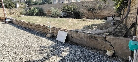 Torpaq Qaraçuxur q., Bakı