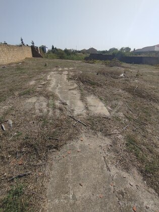Torpaq Novxanı q., Bakı