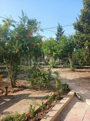 Torpaq Albalılıq q., Bakı