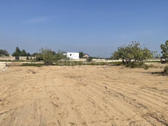 Torpaq Nardaran q., Bakı