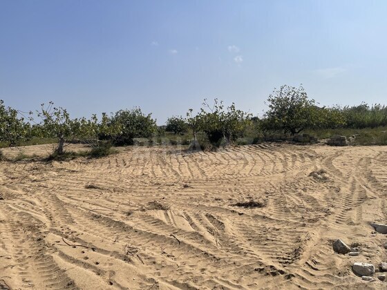 Torpaq Nardaran q., Bakı