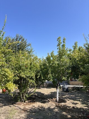 2 otaqlı Həyət evi/Bağ evi, Şüvəlan q., Bakı