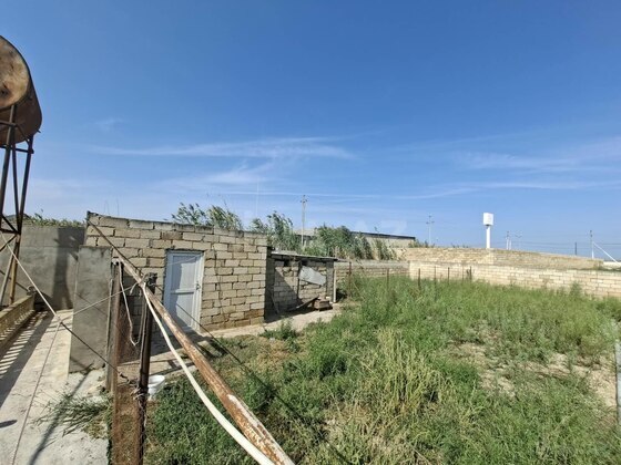 Torpaq Məmmədli q., Bakı